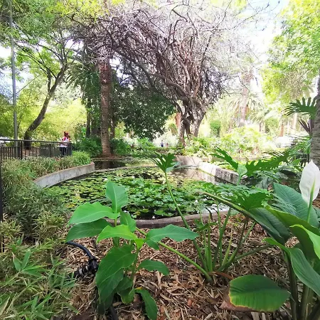 Home2book Stunning&design Cruz Apartamento Santa Cruz de Tenerife