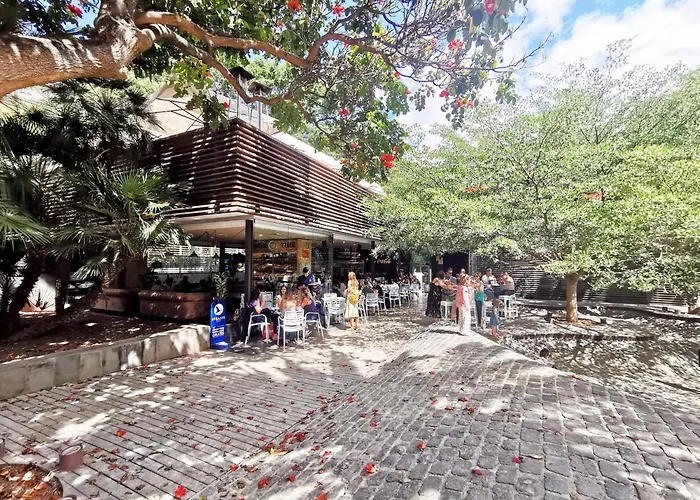 Home2book Stunning&design Cruz 公寓 圣克鲁斯-德特内里费