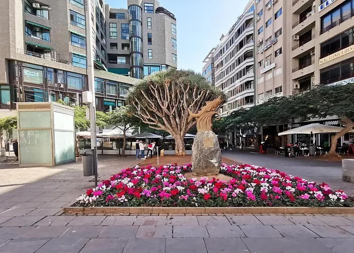 Home2book Stunning&design Cruz 公寓 *