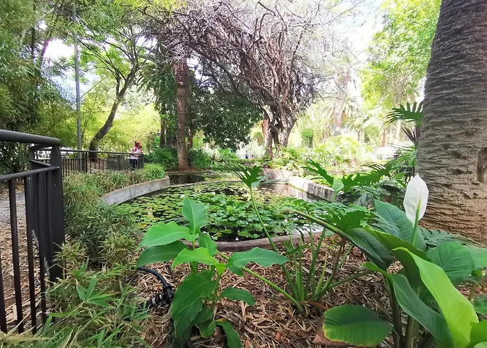 Home2book Stunning&design Cruz 公寓 圣克鲁斯-德特内里费